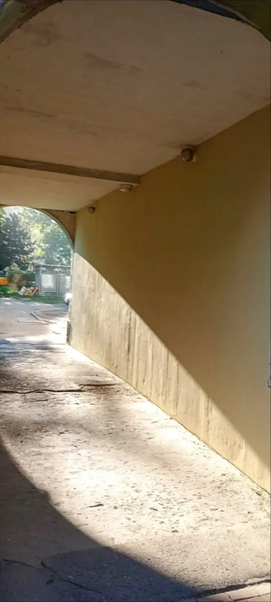 Elewacja
