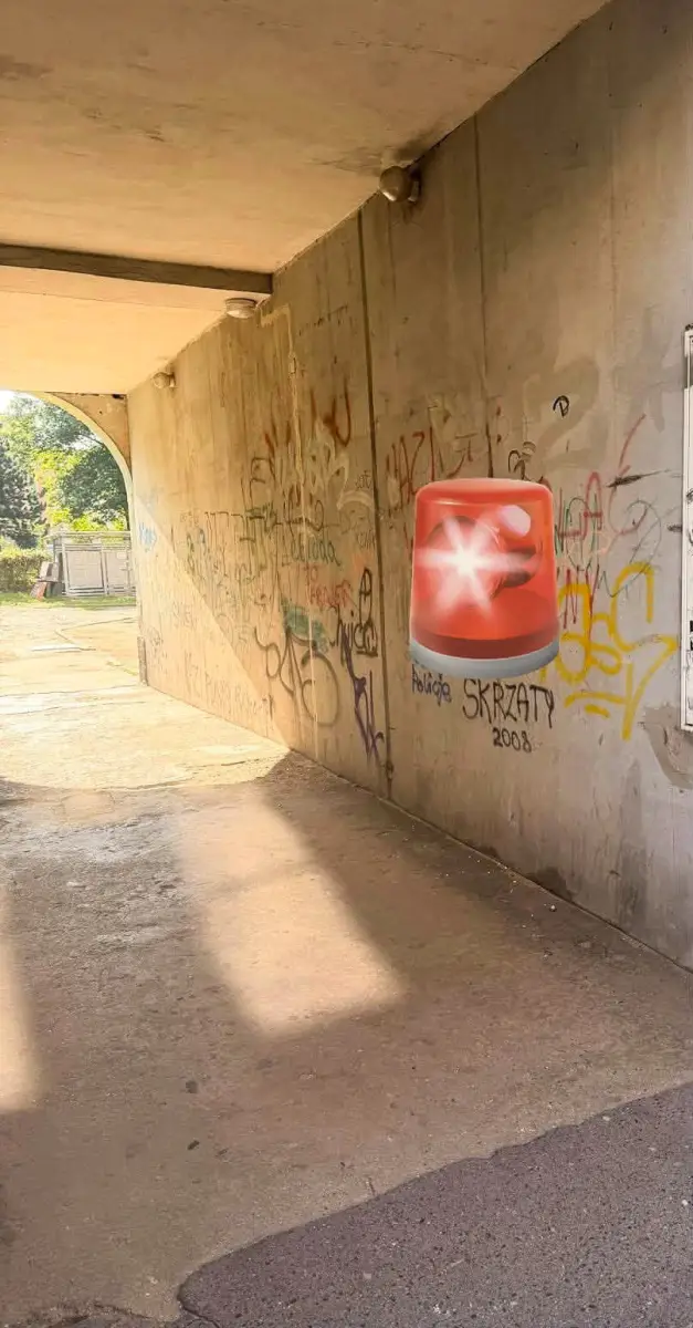 Elewacja