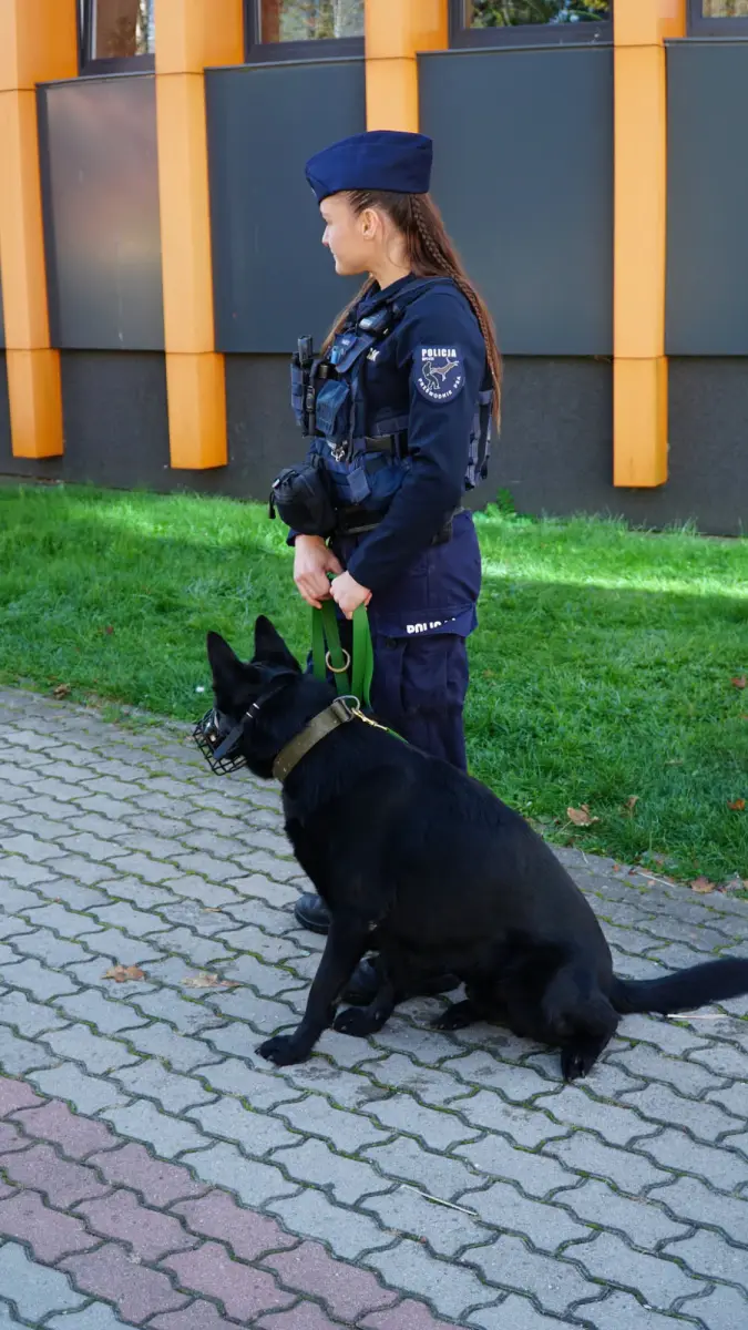 Ćwiczenia w powiecie bolesławieckim