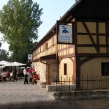 Zobacz zdjęcie: Niebieski Burak