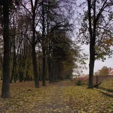 Zobacz zdjęcie: Stary Cmentarz Ewangelicki przy ul. Garncarskiej. Od XVI do pocz. XX w. był to główny cmentarz bolesławiecki. Znajdowało się na nim wiele cennych zabytków jak: renesansowe epitafia rodzin niemieckich oraz rokokowy pomnik pastora Ambrosiusa Jaerschkyego (+ 1761). Cmentarz rozrósł się w kierunku południowym aż do dzisiejszej ulicy Willowej, przy której zbudowano kostnicę (w sąsiedztwie stojącej do dzisiaj stacji transformatorowej).
