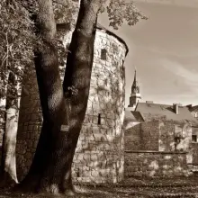 Zobacz zdjęcie: Nagrodzone prace
