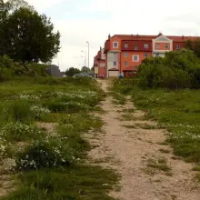 Zobacz zdjęcie 1 z galerii