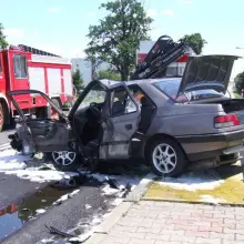 Zobacz zdjęcie 1 z galerii