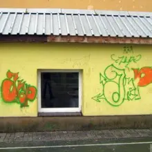 Zobacz zdjęcie 1 z galerii