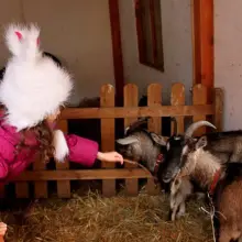 Zobacz zdjęcie 2 z galerii