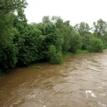 Zobacz zdjęcie 3 z galerii