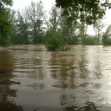 Zobacz zdjęcie: Rzeka Bóbr. 4 czerwca, godzina 18:00.