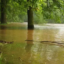 Zobacz zdjęcie: Rzeka Bóbr. 4 czerwca, godzina 18:00.