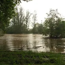 Zobacz zdjęcie: Rzeka Bóbr. 4 czerwca, godzina 18:00.