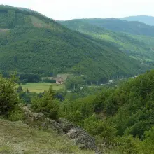 Zobacz zdjęcie 2 z galerii