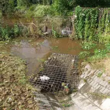 Zobacz zdjęcie 2 z galerii