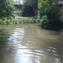 Zobacz zdjęcie 1 z galerii