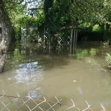 Zobacz zdjęcie 2 z galerii
