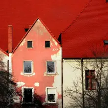 Zobacz zdjęcie 3 z galerii