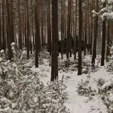 Zobacz zdjęcie 2 z galerii