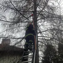 Zobacz zdjęcie 1 z galerii