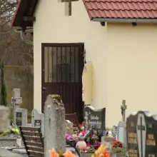 Zobacz zdjęcie 1 z galerii