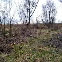 Zobacz zdjęcie 3 z galerii