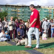 Zobacz zdjęcie 3 z galerii