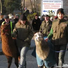 Zobacz zdjęcie: Orszak Trzech Króli