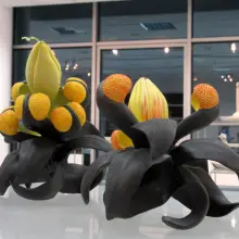 Zobacz zdjęcie: "Zapylanie międzynarodowe" CJ Jilek (USA) 2011