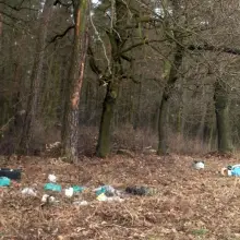 Zobacz zdjęcie: Nielegalne wysypisko w okolicy Dobrej