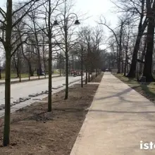 Zobacz zdjęcie: Pięknieją parkowe aleje