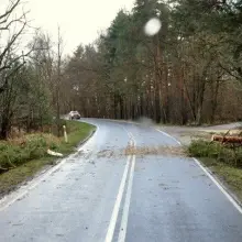 Zobacz zdjęcie: Wichura