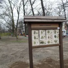 Zobacz zdjęcie: Ścieżka przyrodnicza