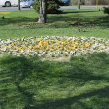 Zobacz zdjęcie: Plac