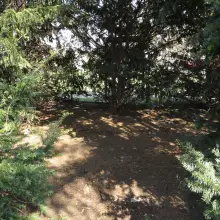 Zobacz zdjęcie: Plac