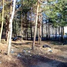 Zobacz zdjęcie: Sami poradzili sobie ze śmieciami