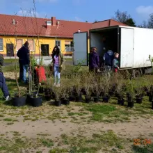 Zobacz zdjęcie: W Trzebieniu pomagają pszczołom!
