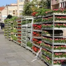 Zobacz zdjęcie: Kwitnąca Legnica
