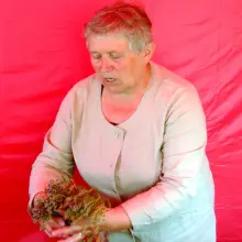 Zobacz zdjęcie: Bogumiła Naruszewicz