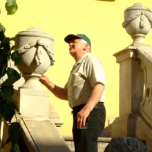 Zobacz zdjęcie: Rój pszczół na drzewie w Rynku