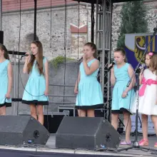 Zobacz zdjęcie: Koncert charytatywny