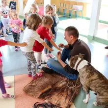 Zobacz zdjęcie: Amstaff w przedszkolu