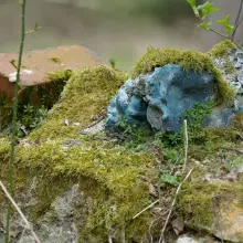 Zobacz zdjęcie: Nowoszów