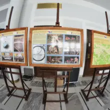 Zobacz zdjęcie: Wystawa „Nasza polska Bośnia” w Senacie RP