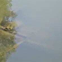 Zobacz zdjęcie: Samochód pod wodą!