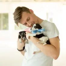 Zobacz zdjęcie: Pieski do adopcji