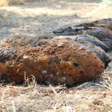 Zobacz zdjęcie: 25 bomb lotniczych w korycie Bobru