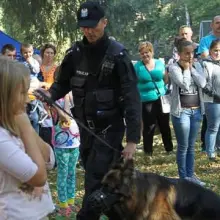 Zobacz zdjęcie: Festyn w Kowarach z udziałem policyjnego psa Cairo