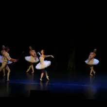 Zobacz zdjęcie: Jezioro łabędzie w Forum