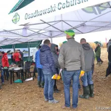 Zobacz zdjęcie: Dni Kukurydzy