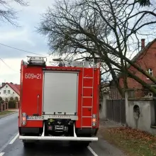 Zobacz zdjęcie: Silny wiatr powalił drzewo. Strażacy interweniowali