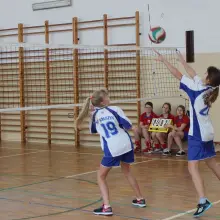 Zobacz zdjęcie: Siatkarki z SP w Kruszynie najlepsze w gminie