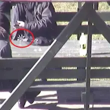 Zobacz zdjęcie: Piją alkohol na placach zabaw, udają ninja i niszczą mienie